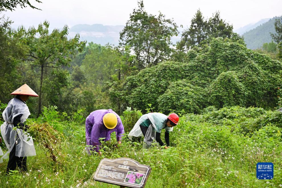 巴厘岛平台登录地址